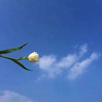 罗马黄金时代游戏下载