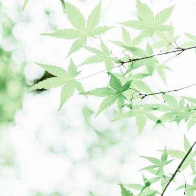 葫芦侠破解版下载最新版